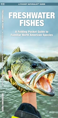 Freshwater Fishes book cover