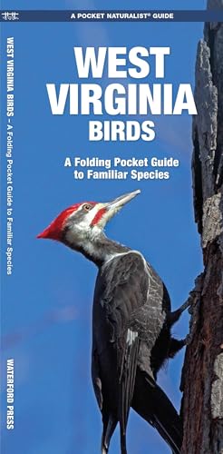West Virginia Birds cover