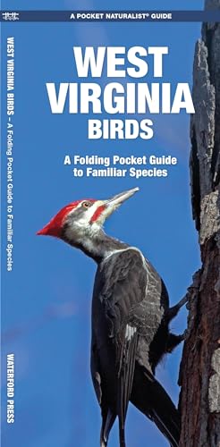 West Virginia Birds book cover