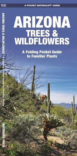 Arizona Trees & Wildflowers book cover