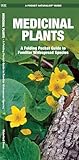 Medicinal Plants A Folding Pocket Guide To Familiar Widespread Species Outdoor Skills And Preparedness