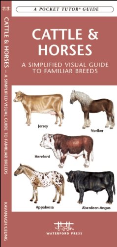 Cattle & Horses book cover