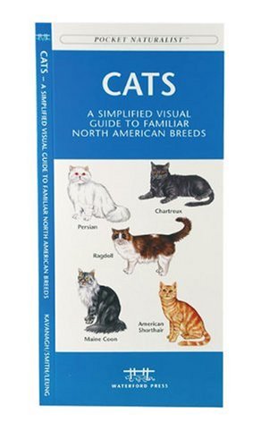 Cats: A Simplified Visual Guide to Familiar North America Breeds cover