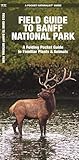 Field Guide To Banff National Park A Folding Pocket Guide To Familiar Plants Animals Wildlife And Nature Identification