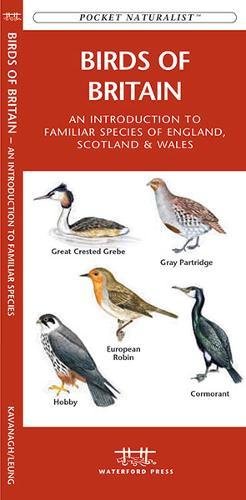 Birds of Britain of England, Scotland & Wales book cover