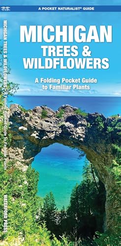 Michigan Trees & Wildflowers book cover