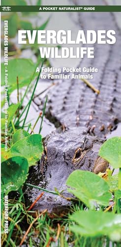 Everglades Wildlife book cover
