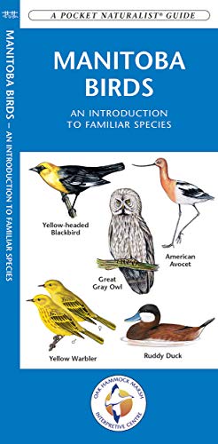 Manitoba Birds: A Folding Pocket Guide to Familiar Species cover