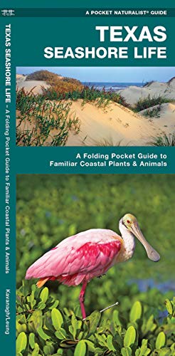Texas Seashore Life: A Folding Pocket Guide to Familiar Coastal Plants & Animals cover
