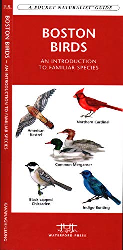 Boston Birds book cover
