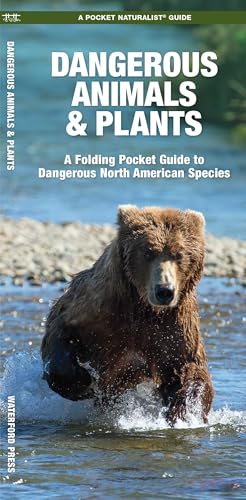 Dangerous Animals & Plants book cover