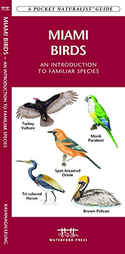 Miami Birds: A Folding Pocket Guide to Familiar Species cover