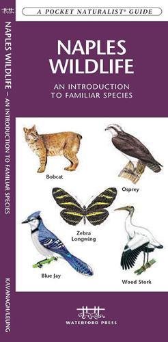Naples Wildlife book cover