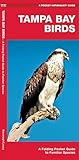 Tampa Bay Birds A Folding Pocket Guide To Familiar Species Wildlife And Nature Identification