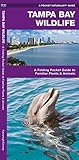 Tampa Bay Wildlife A Folding Pocket Guide To Familiar Plants Animals Wildlife And Nature Identification