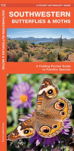 Southwestern Butterflies & Moths: A Folding Pocket Guide to Familiar Species cover