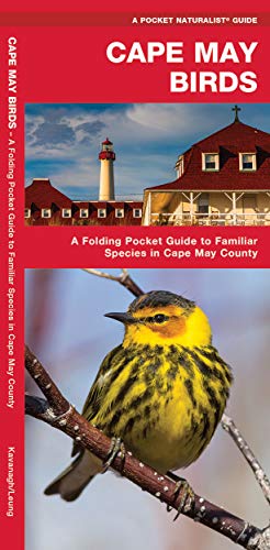 Cape May Birds in Cape May County book cover