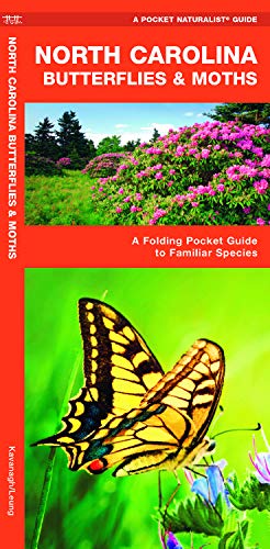 North Carolina Butterflies & Moths cover