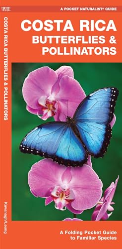 Costa Rica Butterflies & Moths book cover