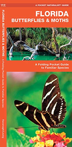 Florida Butterflies & Moths book cover