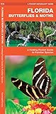 Florida Butterflies Moths A Folding Pocket Guide To Familiar Species A Pocket Naturalist Guide
