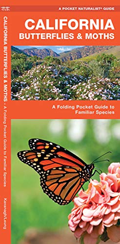 California Butterflies & Moths book cover