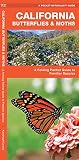 California Butterflies Moths An Introduction To Familiar Species Wildlife And Nature Identification