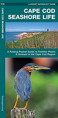 Cape Cod Seashore Life: A Folding Pocket Guide to Familiar Plants & Animals in the Cape Cod Region cover