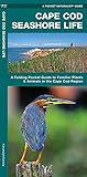 Cape Cod Seashore Life A Folding Pocket Guide To Familiar Plants Animals In The Cape Cod Region Wildlife And Nature Identification