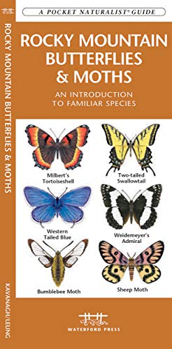 Rocky Mountain Butterflies & Moths: A Folding Pocket Guide to Familiar Species cover