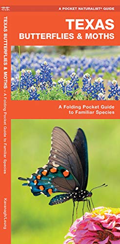 Texas Butterflies & Moths: A Folding Pocket Guide to Familiar Species cover