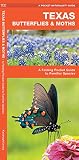 Texas Butterflies Moths A Folding Pocket Guide To Familiar Species Wildlife And Nature Identification