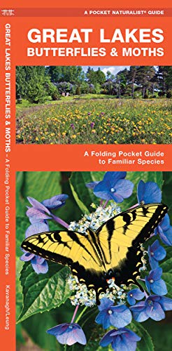 Great Lakes Butterflies & Moths: A Folding Pocket Guide to Familiar Species cover