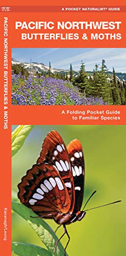 Pacific Northwest Butterflies & Moths book cover