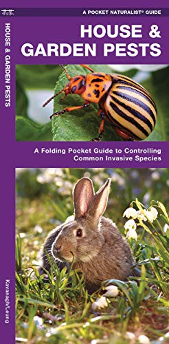 House & Garden Pests: How to Organically Control Common Invasive Species cover