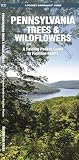 Pennsylvania Trees Wildflowers A Folding Pocket Guide To Familiar Plants Wildlife And Nature Identification