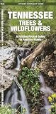 Tennessee Trees Wildflowers A Folding Pocket Guide To Familiar Plants Wildlife And Nature Identification