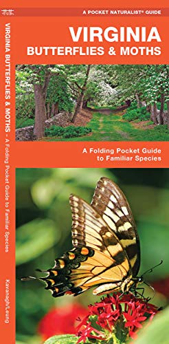 Virginia Butterflies & Moths: A Folding Pocket Guide to Familiar Species cover