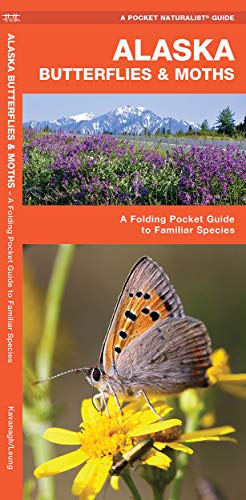 Alaska Butterflies & Moths: A Folding Pocket Guide to Familiar Species cover