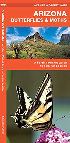 Arizona Butterflies & Moths: A Folding Pocket Guide to Familiar Species cover