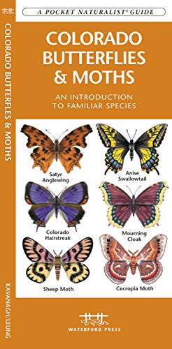 Colorado Butterflies & Moths: A Folding Pocket Guide to Familiar Species cover