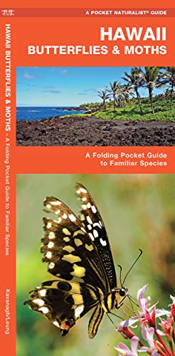 Hawaii Butterflies & Moths book cover