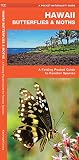 Hawaii Butterflies Moths A Folding Pocket Guide To Familiar Species Wildlife And Nature Identification