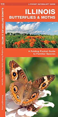 Illinois Butterflies & Moths: A Folding Pocket Guide to Familiar Species cover