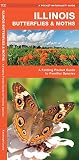 Illinois Butterflies Moths A Folding Pocket Guide To Familiar Species A Pocket Naturalist Guide