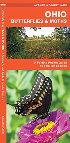 Ohio Butterflies & Moths: A Folding Pocket Guide to Familiar Species cover