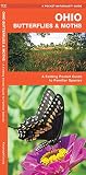 Ohio Butterflies Moths A Folding Pocket Guide To Familiar Species Wildlife And Nature Identification