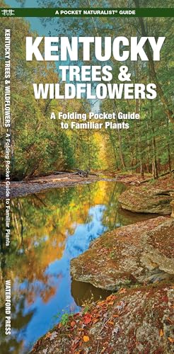 Kentucky Trees & Wildflowers book cover