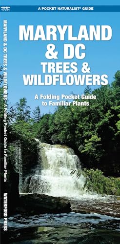 Maryland & DC Trees & Wildflowers book cover