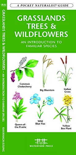 Grasslands Trees & Wildflowers: A Folding Pocket Guide to Familiar Species cover